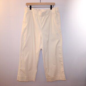 J Crew Womens XL Beige Wide Leg Pull On Ankle Pants Elastic Waist Lightweight